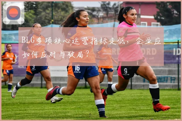 BLG多项核心运营指标走低，企业应如何应对与破局？