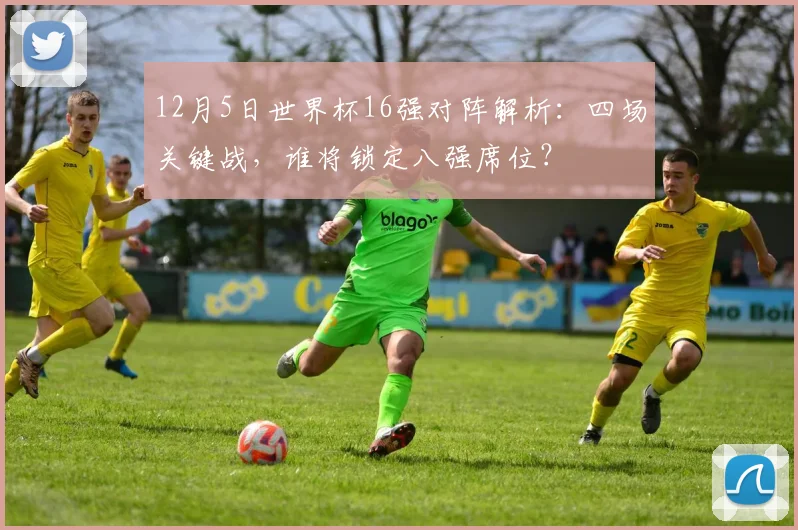 12月5日世界杯16强对阵解析：四场关键战，谁将锁定八强席位？
