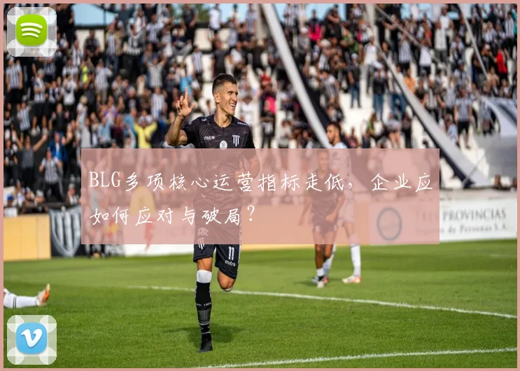 BLG多项核心运营指标走低，企业应如何应对与破局？